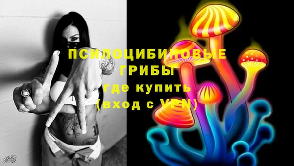 амф Протвино