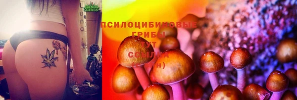 амф Протвино