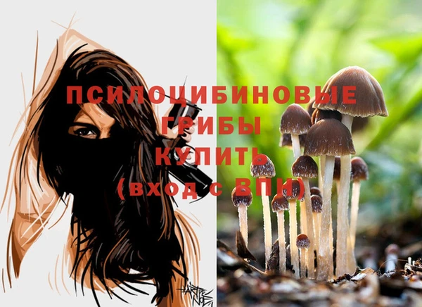 кокаин Приозерск
