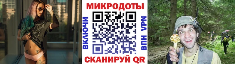 сколько стоит  Трёхгорный  KRAKEN ссылки  Галлюциногенные грибы Psilocybe 